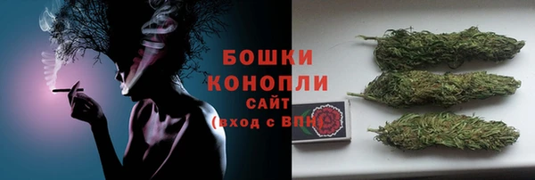 Альфа ПВП Белокуриха