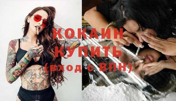 дживик Балахна