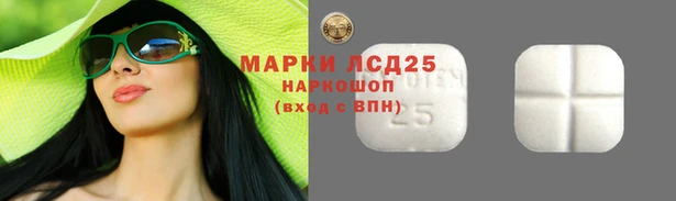 Альфа ПВП Белокуриха