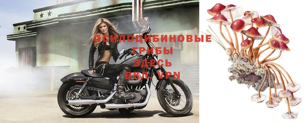 прущая мука Беломорск