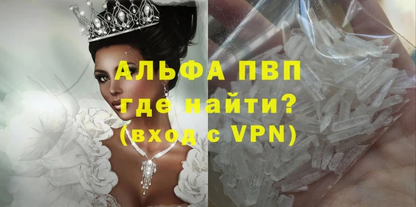 Альфа ПВП Белокуриха