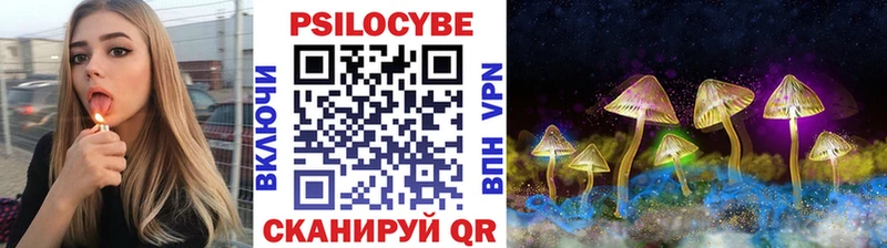 Псилоцибиновые грибы Cubensis  Сердобск 