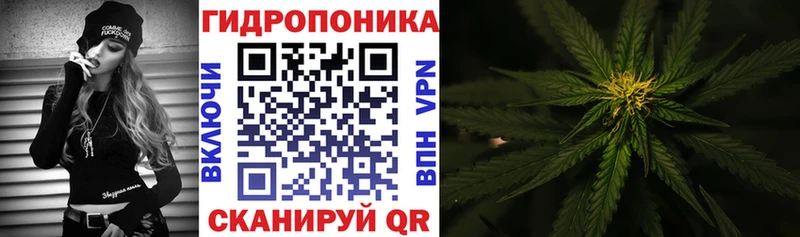 Бошки марихуана OG Kush  Сердобск 